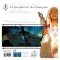 Time Stories : La Proph�tie des Dragons (Extension)