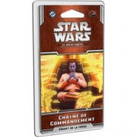 Star Wars : Chaine de Commandement (Cycle Escadron Rogue)